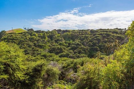 Photo of property in 1580 Whaanga Road, Raglan, 3296