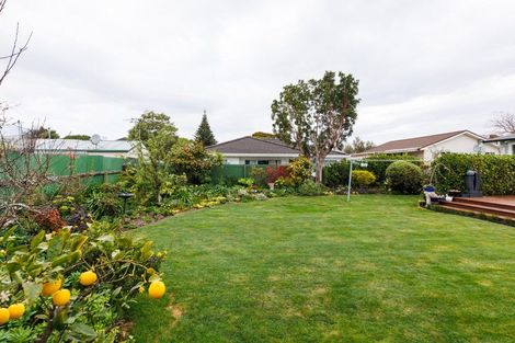 Photo of property in 31 Hereford Street, West End, Palmerston North, 4410