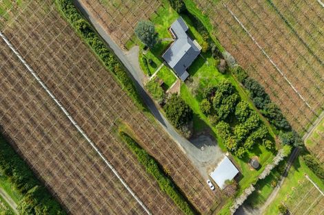 Photo of property in 91 Rea Road, Tahawai, Katikati, 3178