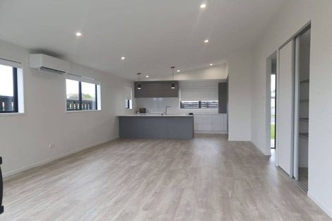 Photo of property in 211 Victoria Street West, Pukekohe, 2120