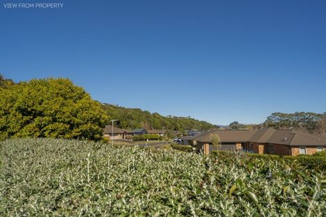Photo of property in 49 Bathurst Crescent, Pyes Pa, Tauranga, 3112