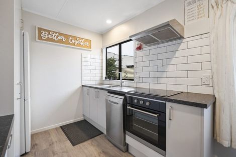 Photo of property in 26a Limbrick Street, Terrace End, Palmerston North, 4410