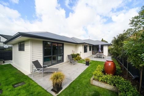 Photo of property in 29 Manuka Street, Hokowhitu, Palmerston North, 4410