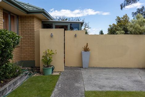 Photo of property in 46a Hope Drive, Witherlea, Blenheim, 7201