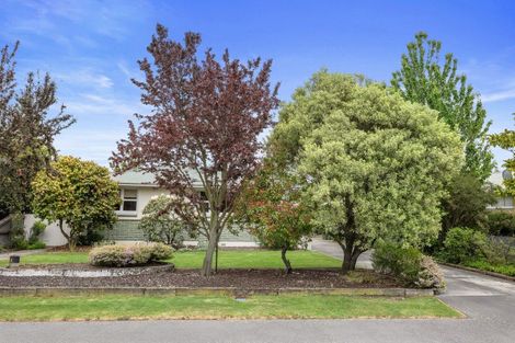 Photo of property in 63 Durham Street, Rangiora, 7400