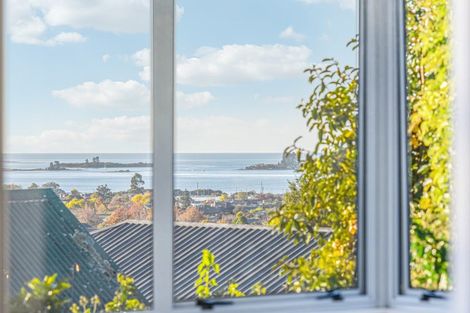 Photo of property in 26 Marlborough Crescent, Richmond, 7020