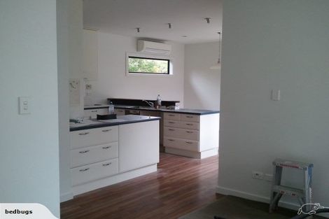 Photo of property in 14 Tui Street, Fendalton, Christchurch, 8041