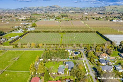 Photo of property in 10 France Road, Longlands, Hastings, 4120