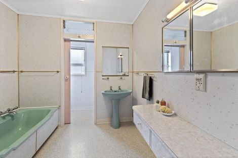 Photo of property in 239 Cambridge Street, Levin, 5510