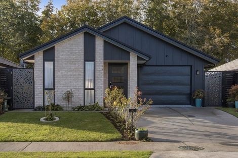 Photo of property in 13 Mural Drive, Katikati, 3129