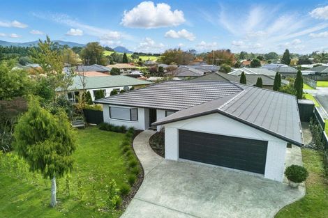 Photo of property in 52 Highfields Drive, Katikati, 3129