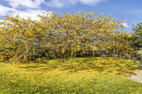 Photo of property in 20 Manuka Street, Miramar, Wellington, 6022