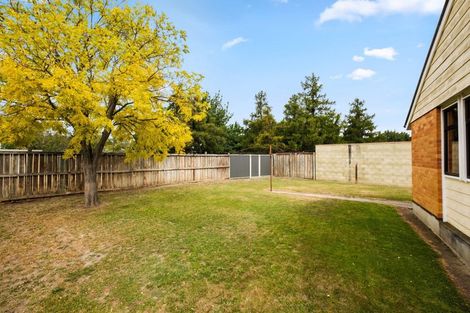 Photo of property in 47 Antimony Crescent, Cromwell, 9310