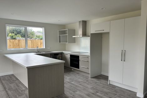 Photo of property in 209 Hastings Street East, Waltham, Christchurch, 8023