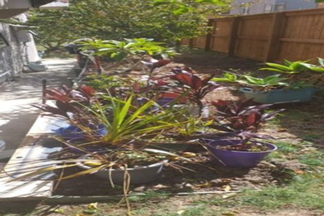 Photo of property in 13 Hurstwood Place, Glen Innes, Auckland, 1072