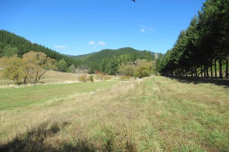 Photo of property in 99 Serpentine River Road, Aniseed Valley, Richmond, 7081