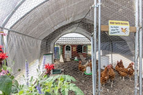 Photo of property in 64 Long Range Road, Omakere, Waipawa, 4271