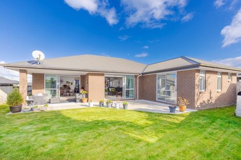 Photo of property in 16 Carlingford Rise, Dinsdale, Hamilton, 3204
