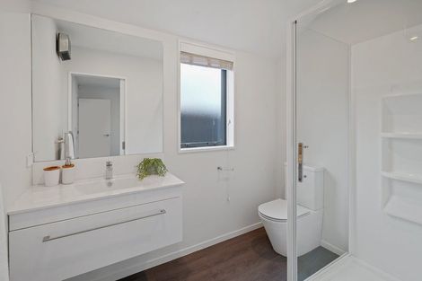 Photo of property in 38 Mills Road, Marshland, Christchurch, 8051