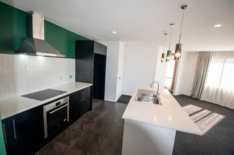 Photo of property in 607 Birchs Road, Lincoln, 7608