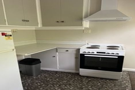 Photo of property in 121 Washington Avenue, Brooklyn, Wellington, 6021