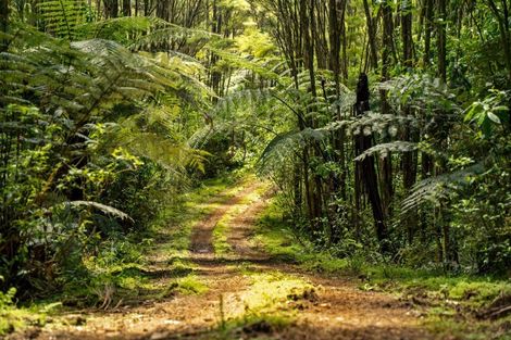 Photo of property in 246 Gray Road, Te Kamo, Kamo, 0185