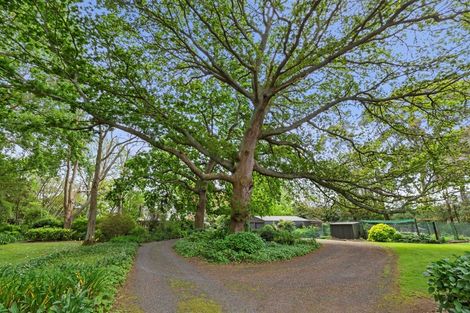 Photo of property in 253 Kaipaki Road, Ohaupo, 3881