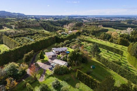 Photo of property in 270 Wharawhara Road, Tahawai, Katikati, 3178
