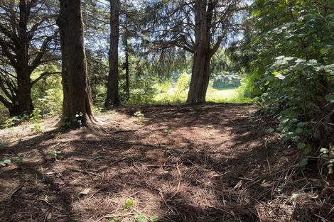 Photo of property in 237 Landlyst Road, Waihi, 3681