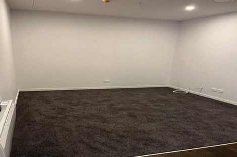 Photo of property in A C Nielsen House, 209/120 Victoria Street, Te Aro, Wellington, 6011