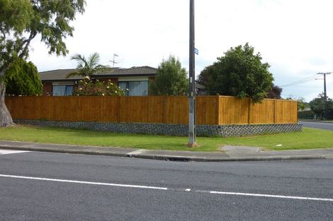 Photo of property in 41 Ruawai Road, Mount Wellington, Auckland, 1060