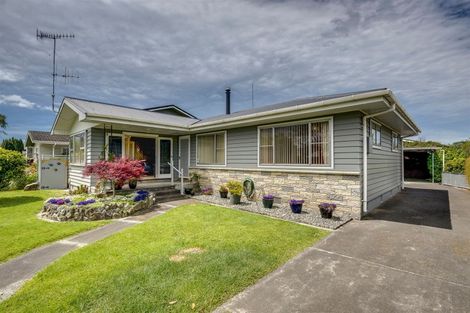 Photo of property in 11 Morgan Avenue, Marewa, Napier, 4110