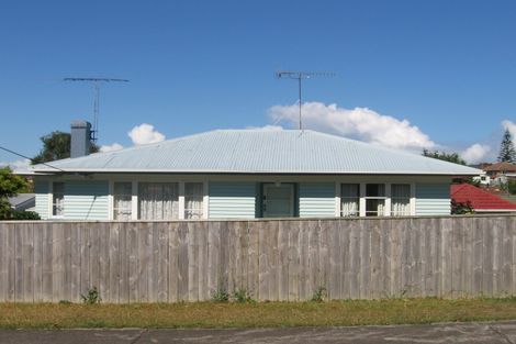 Photo of property in 17 Kohekohe Street, New Lynn, Auckland, 0600