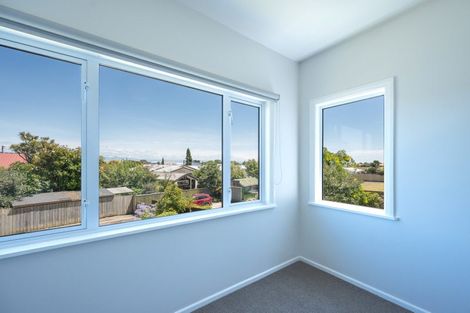 Photo of property in 117 Halifax Street East, The Wood, Nelson, 7010