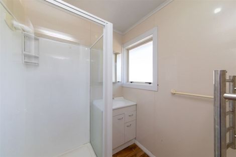Photo of property in 102 Limbrick Street, Terrace End, Palmerston North, 4410