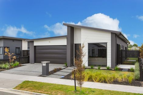 Photo of property in 43 Probert Crescent, Chartwell, Hamilton, 3210