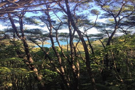 Photo of property in 6617 Kenepuru Road, Saint Omer, Marlborough Sounds, 7282