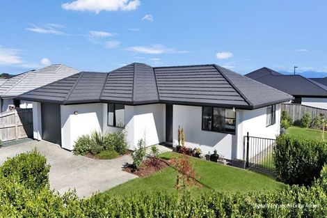 Photo of property in 2 Bedfont Street, 2 Bedfont Street, Richmond, 7020