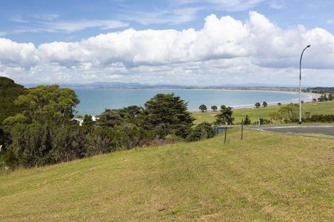 Photo of property in 14 Akeake Crescent, Karikari Peninsula, 0483