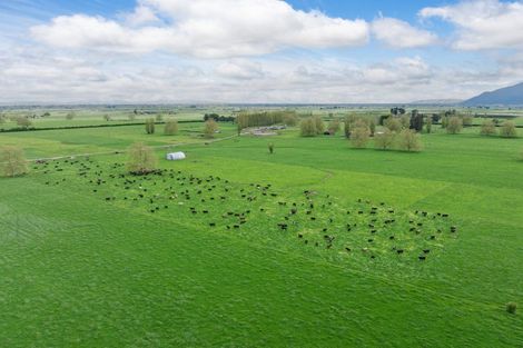 Photo of property in 131 School Road, Te Horo, Otaki, 5582