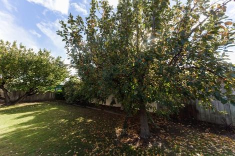 Photo of property in 8 Cherry Grove, Alexandra, 9320