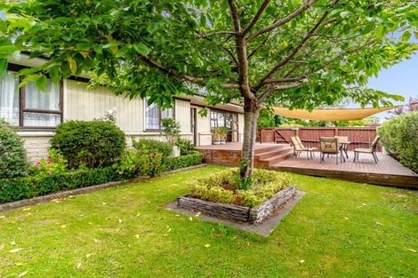 Photo of property in 77 York Avenue, Tamatea, Napier, 4112