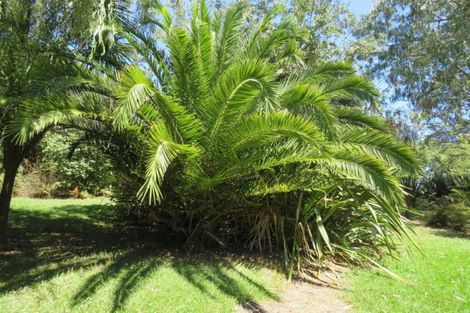 Photo of property in 18 Omarae Road, Pahi, Paparoa, 0571