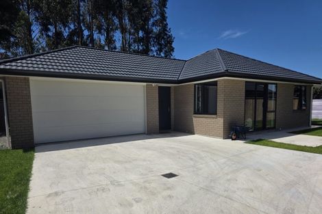 Photo of property in 93/7 Harley Street, Solway, Masterton, 5810