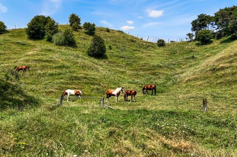 Photo of property in 791b White Pine Bush Road, White Pine Bush, Whakatane, 3191