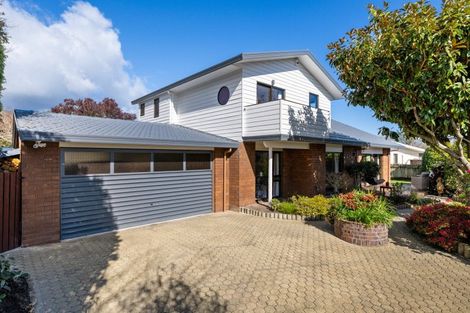 Photo of property in 8 Morrington Terrace, Witherlea, Blenheim, 7201