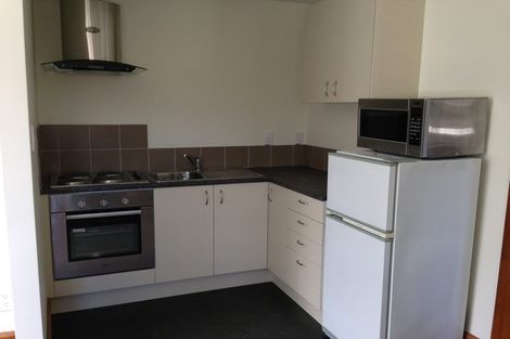 Photo of property in 34 Tweed Street, Roslyn, Dunedin, 9010