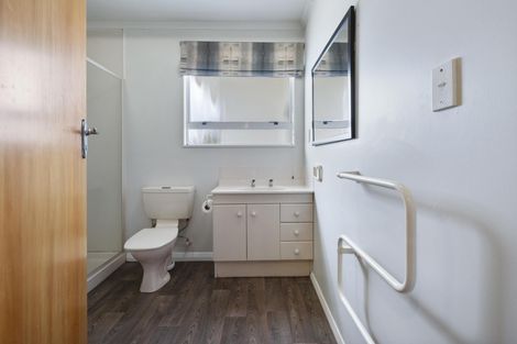 Photo of property in 63 Guy Avenue, Takaro, Palmerston North, 4410