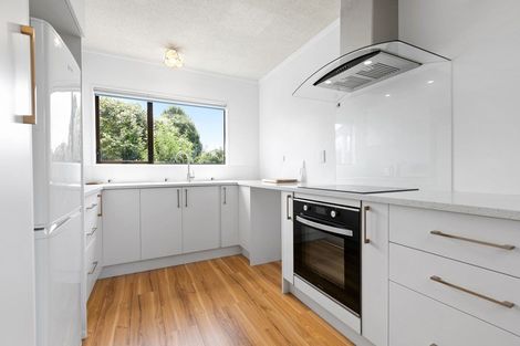 Photo of property in 105a Greerton Road, Gate Pa, Tauranga, 3112