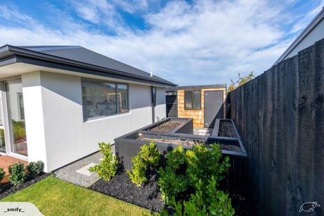 Photo of property in 141 Te Korari Street, Marshland, Christchurch, 8083